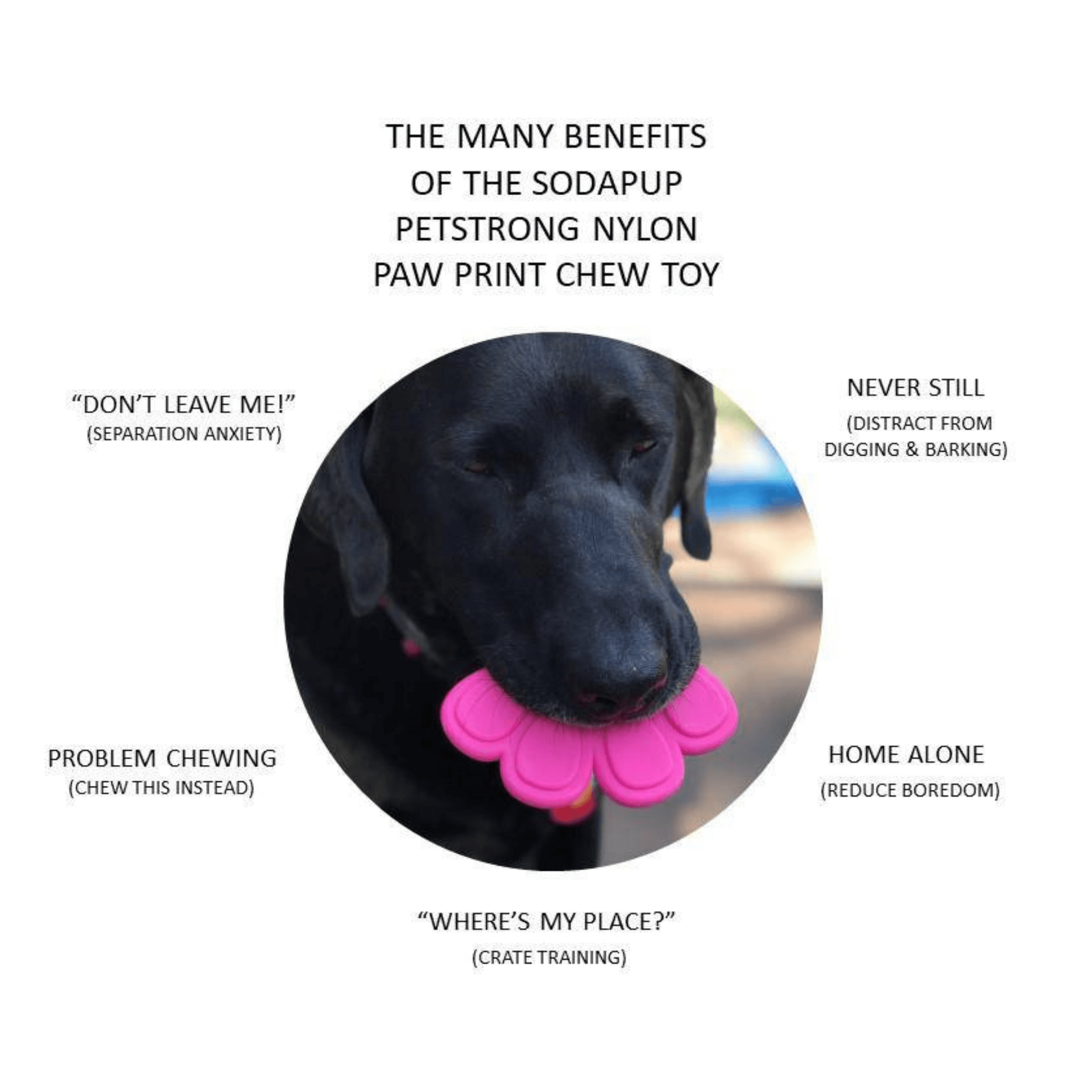 Aggressive dog chewers dog toy, paw shaped, let's pawty