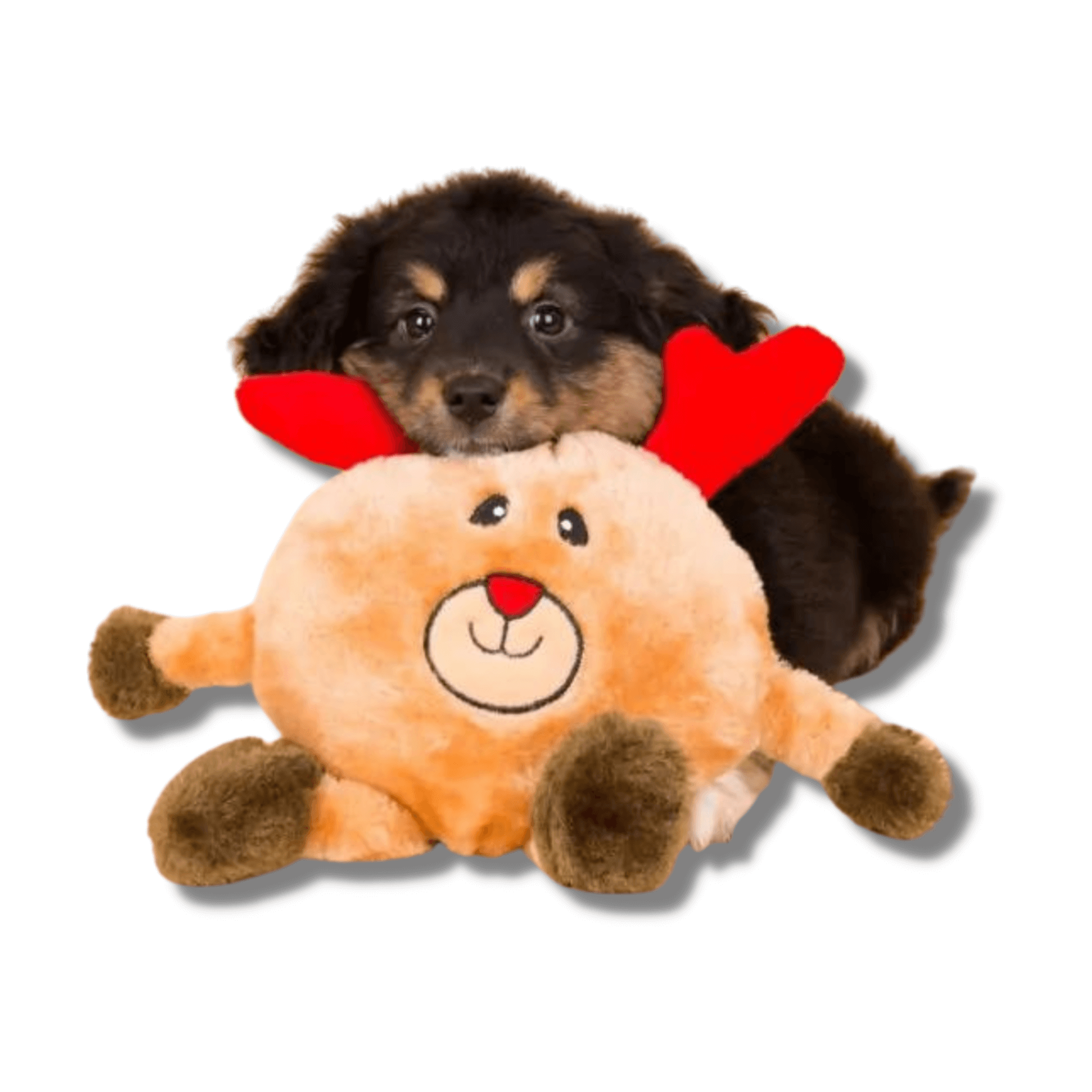 Christmas themed plush dog toy, let's pawty