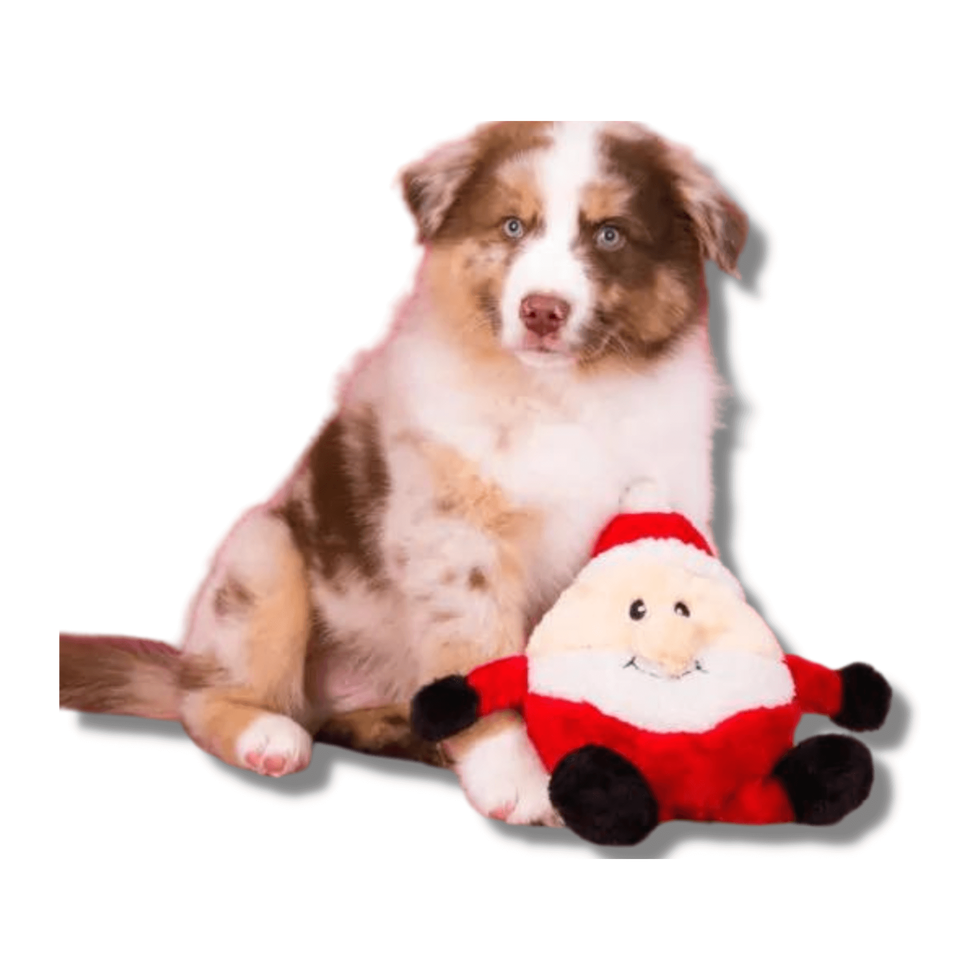Christmas themed Santa plush dog toy,