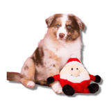 Christmas themed Santa plush dog toy,