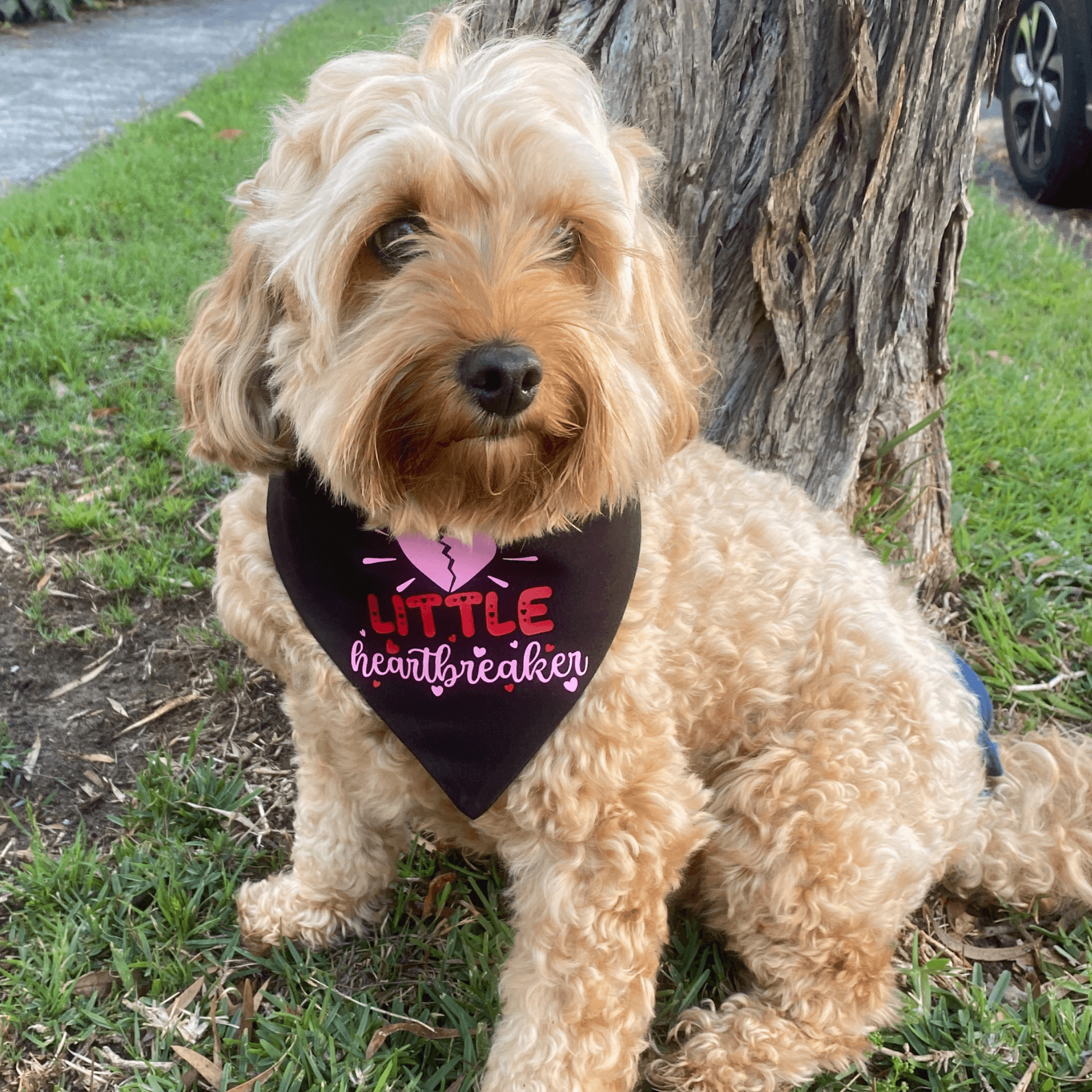 Valentine themed reversible dog bandana, let's pawty