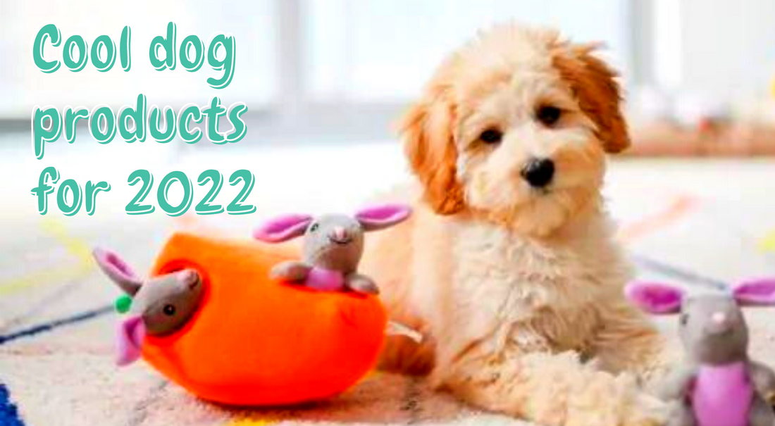 Best Dog Toys 2022
