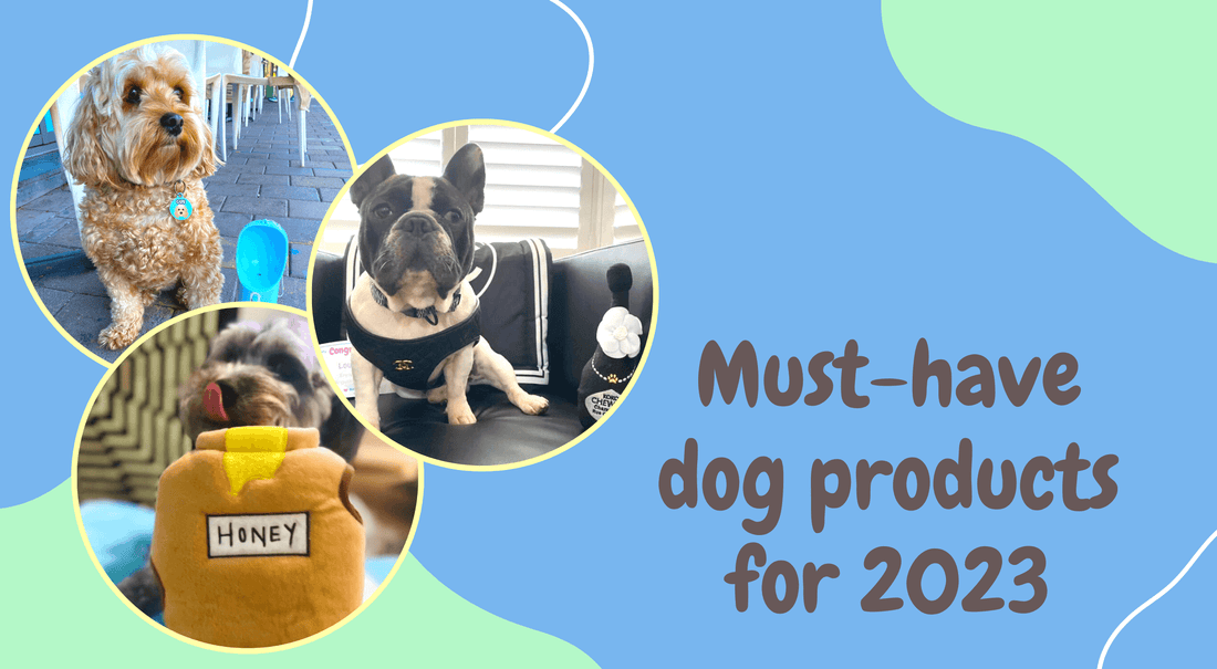 The best must-have dog products for 2023 Let's Pawty blog