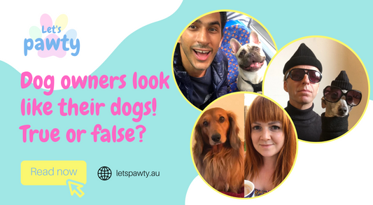 Dog owners look like their dogs - true or false?