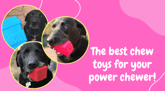 The best chew toys for your power chewer!