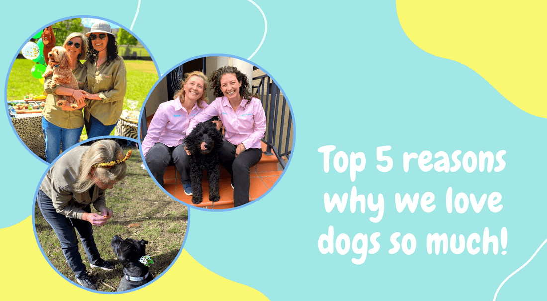 Top 5 reasons why we love dogs so much!
