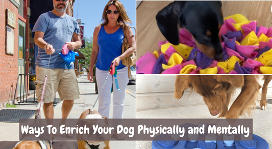 ways to enrich your dog both mentally and physically, let's pawty 