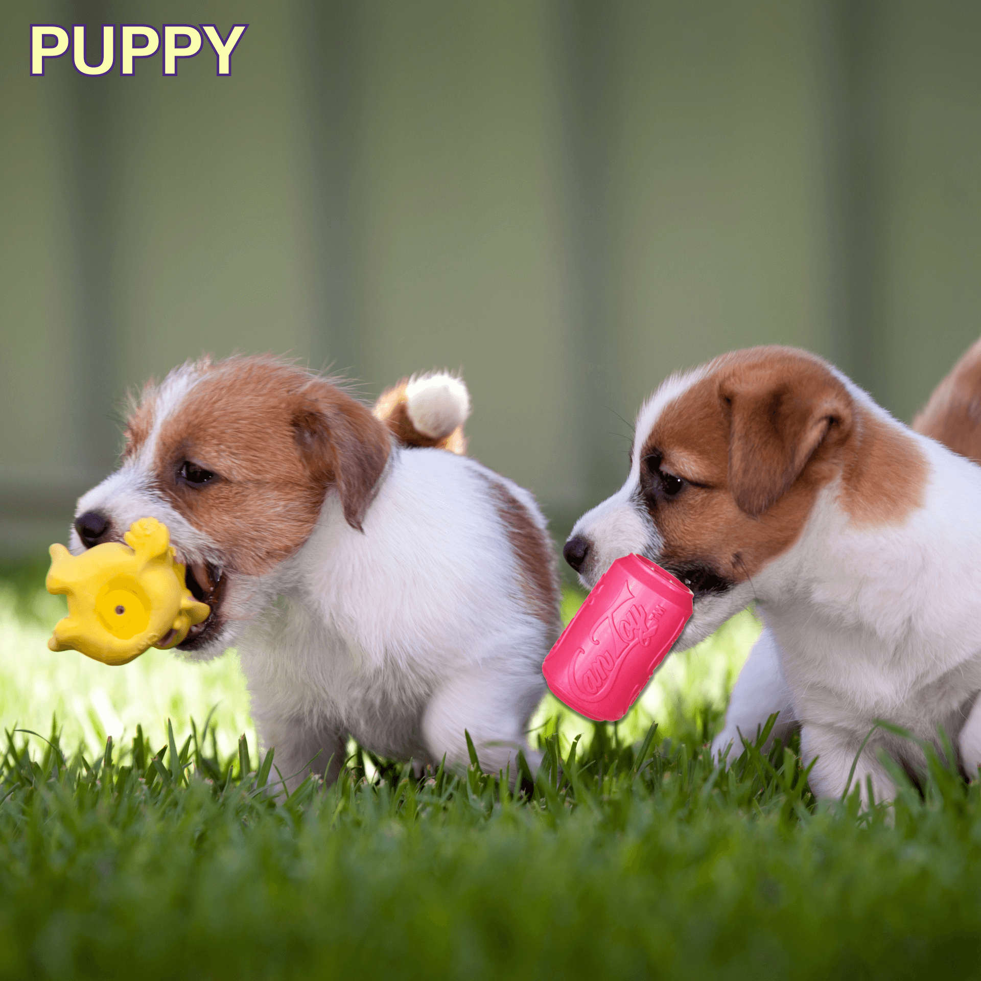 https://letspawty.au/cdn/shop/collections/Puppy-dog-proudcts-let_s-pawty-dog-toys-dog-treats.png?v=1704189669