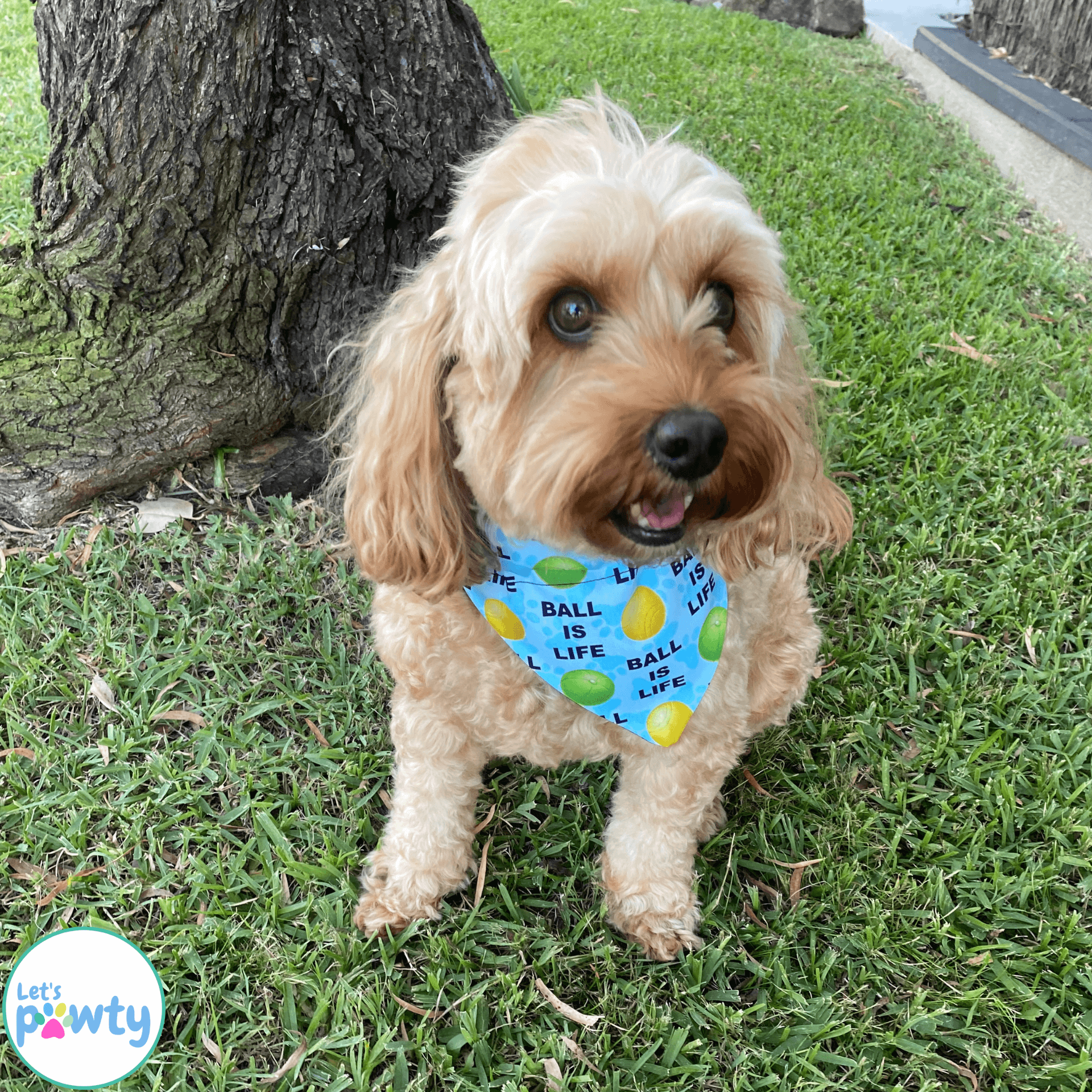 Reversible dog bandana, ball is life, let's pawty