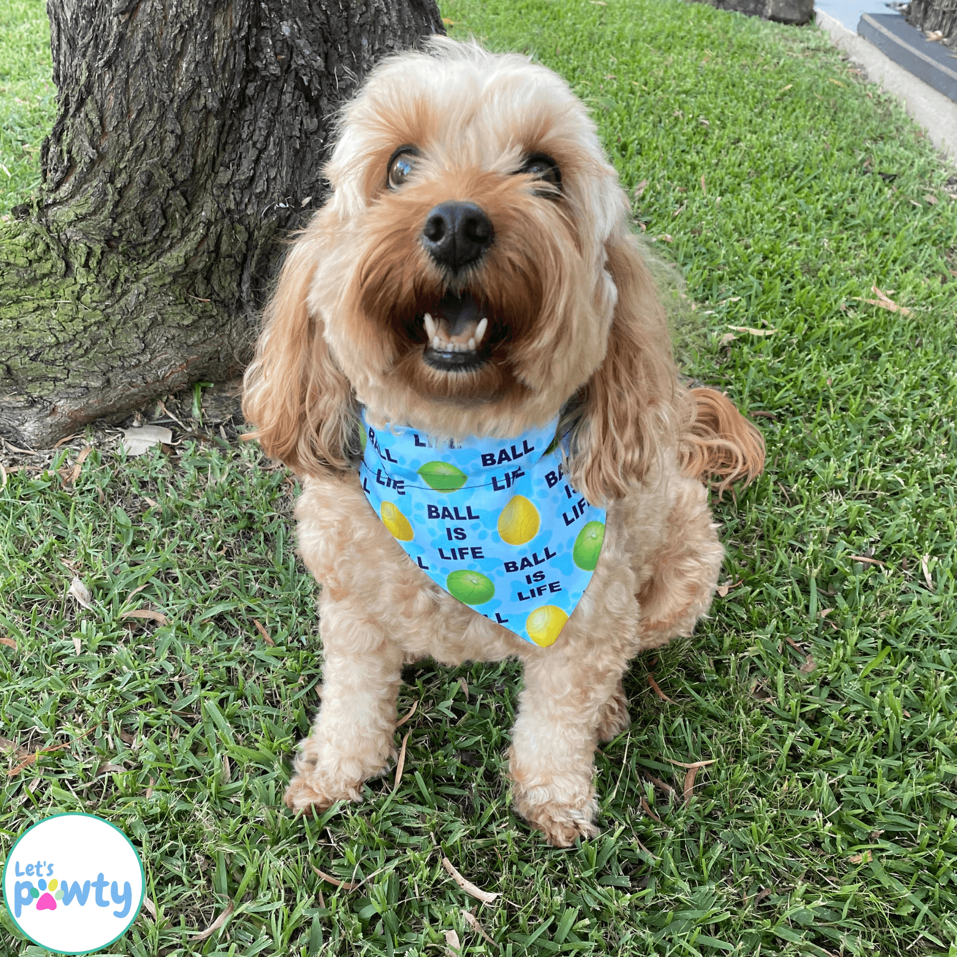 Reversible dog bandana, ball is life, let's pawty