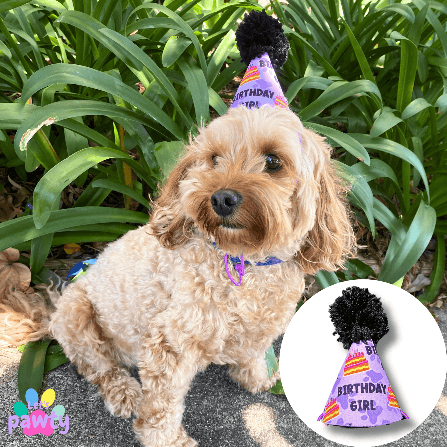 let's pawty birthday girl dog party hat
