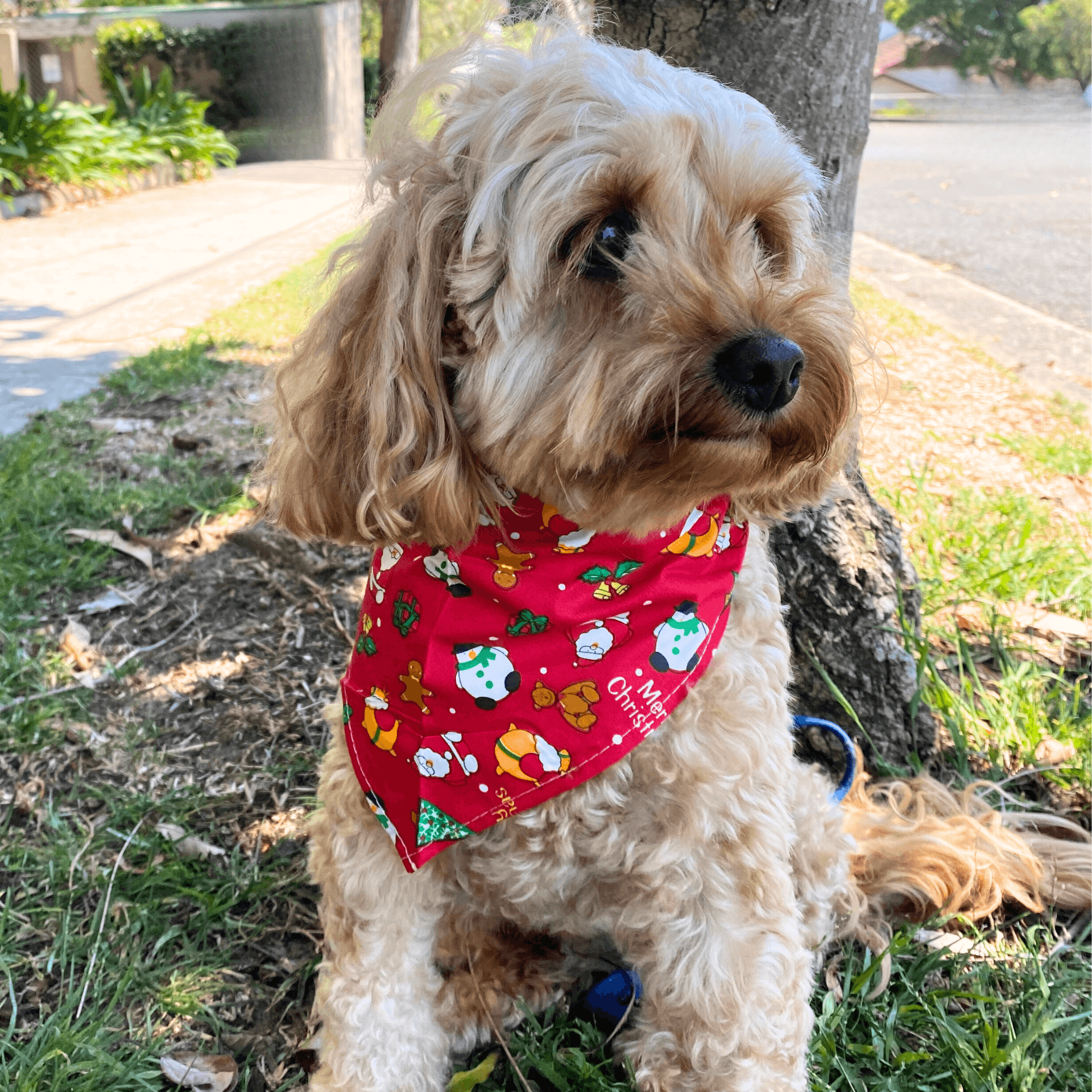 Festive discount dog bandana