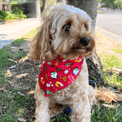 Let's pawty christmas themed dog bandana scarf style 