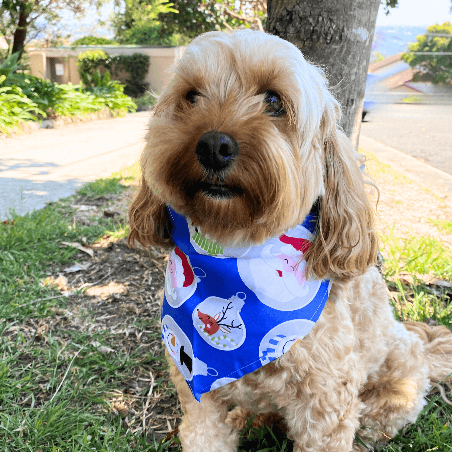 Christmas Bauble Triangle Scarf Style - Dog Bandana