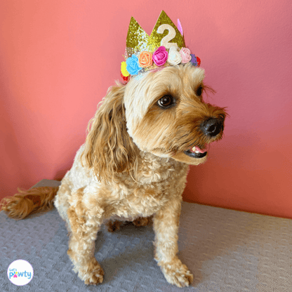 Dog Birthday Part Hat Gold with  Multi-Coloured Flowers