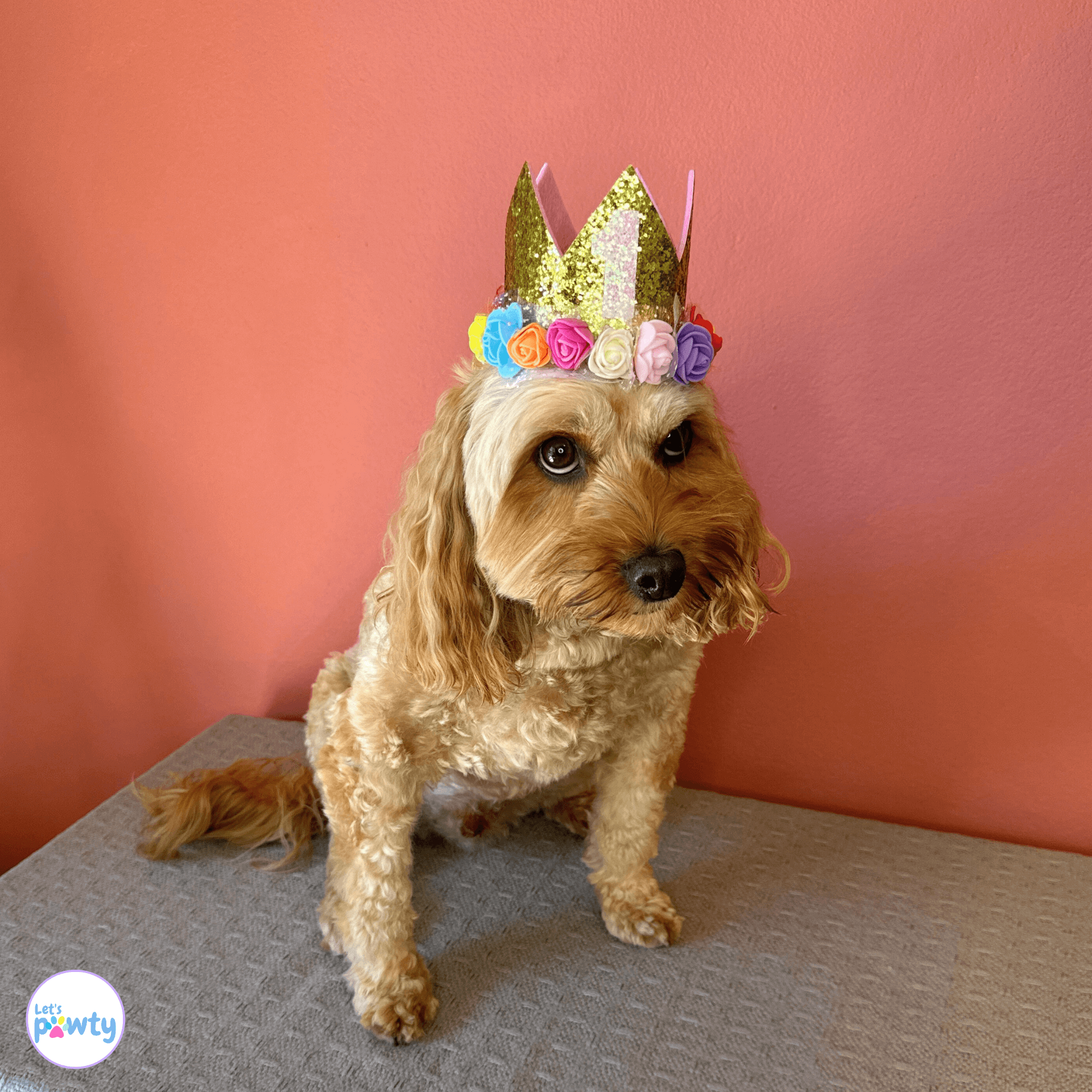 Dog Birthday Party Hat Gold with  Multi-Coloured Flowers