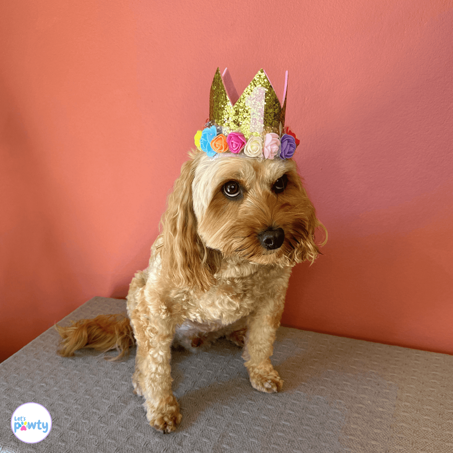 Dog Birthday Part Hat Gold with  Multi-Coloured Flowers