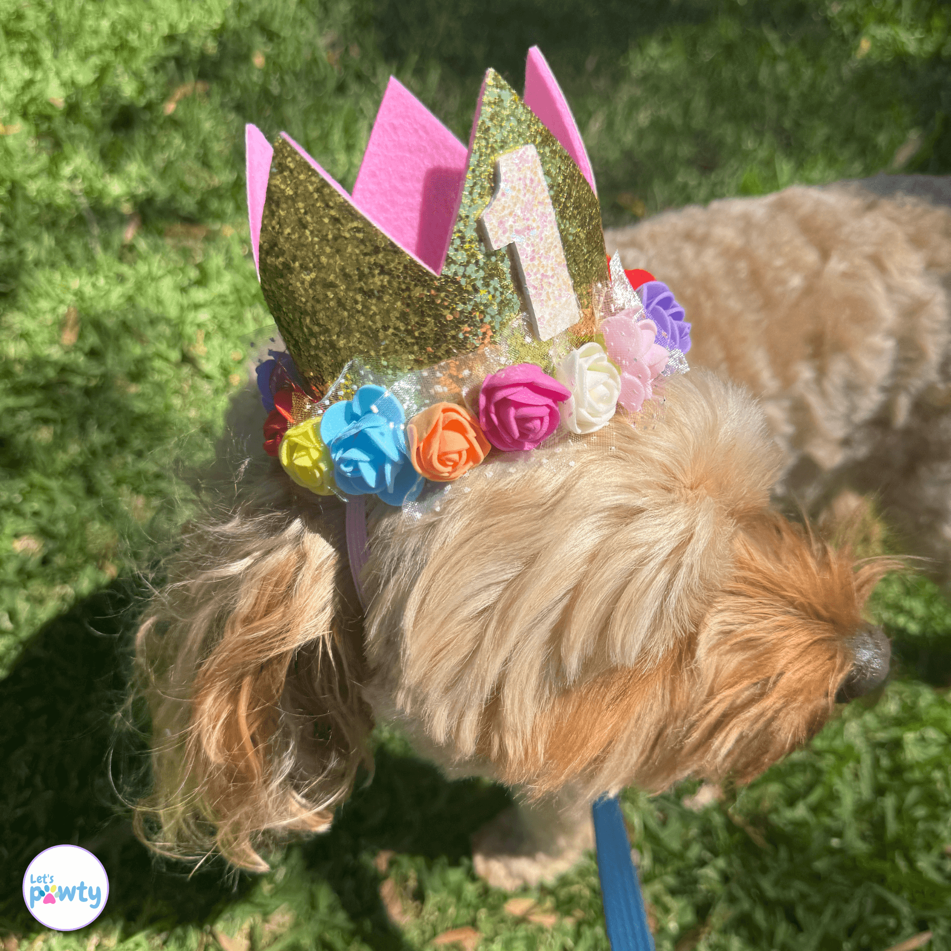 Dog Birthday Party Hat Gold with  Multi-Coloured Flowers