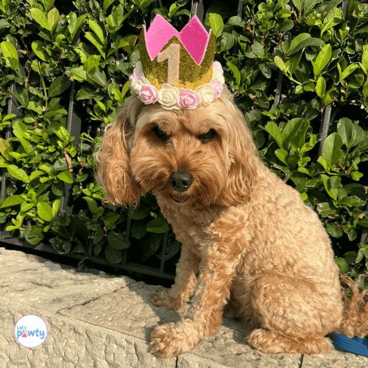 dog birthday hat crown, 1st birthday