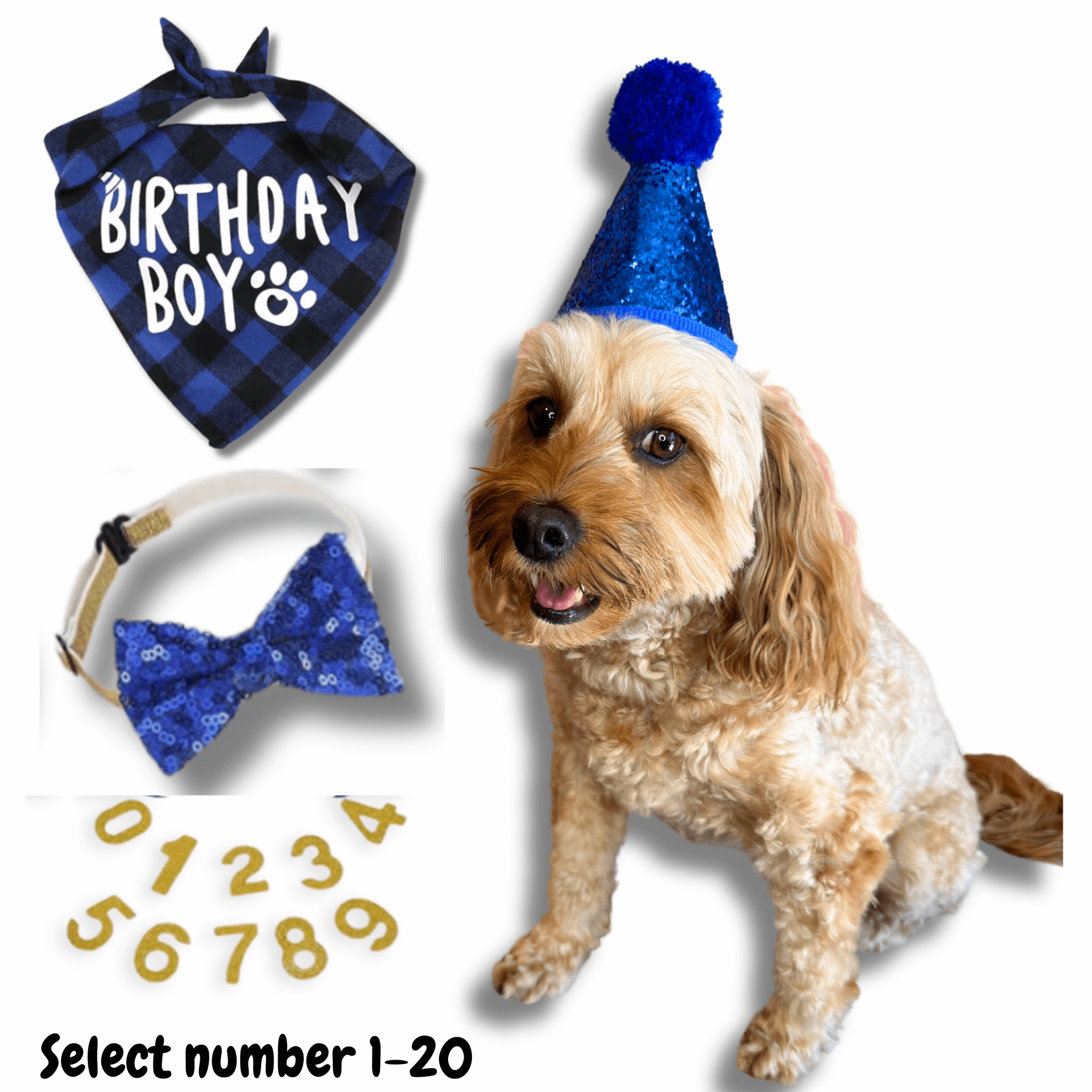 dog birthday gift set, let's pawty 