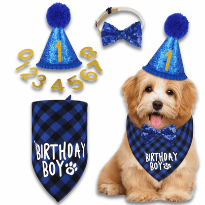 Birthday Boy Bandana, Hat & Bow Tie - Dog Party Set