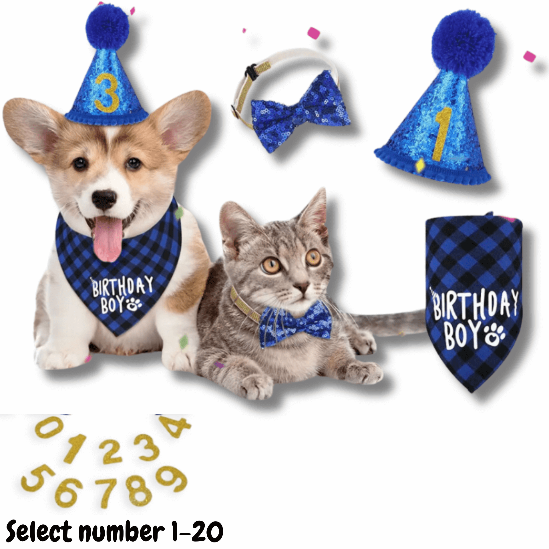 Birthday Boy Bandana, Hat & Bow Tie - Dog Party Set