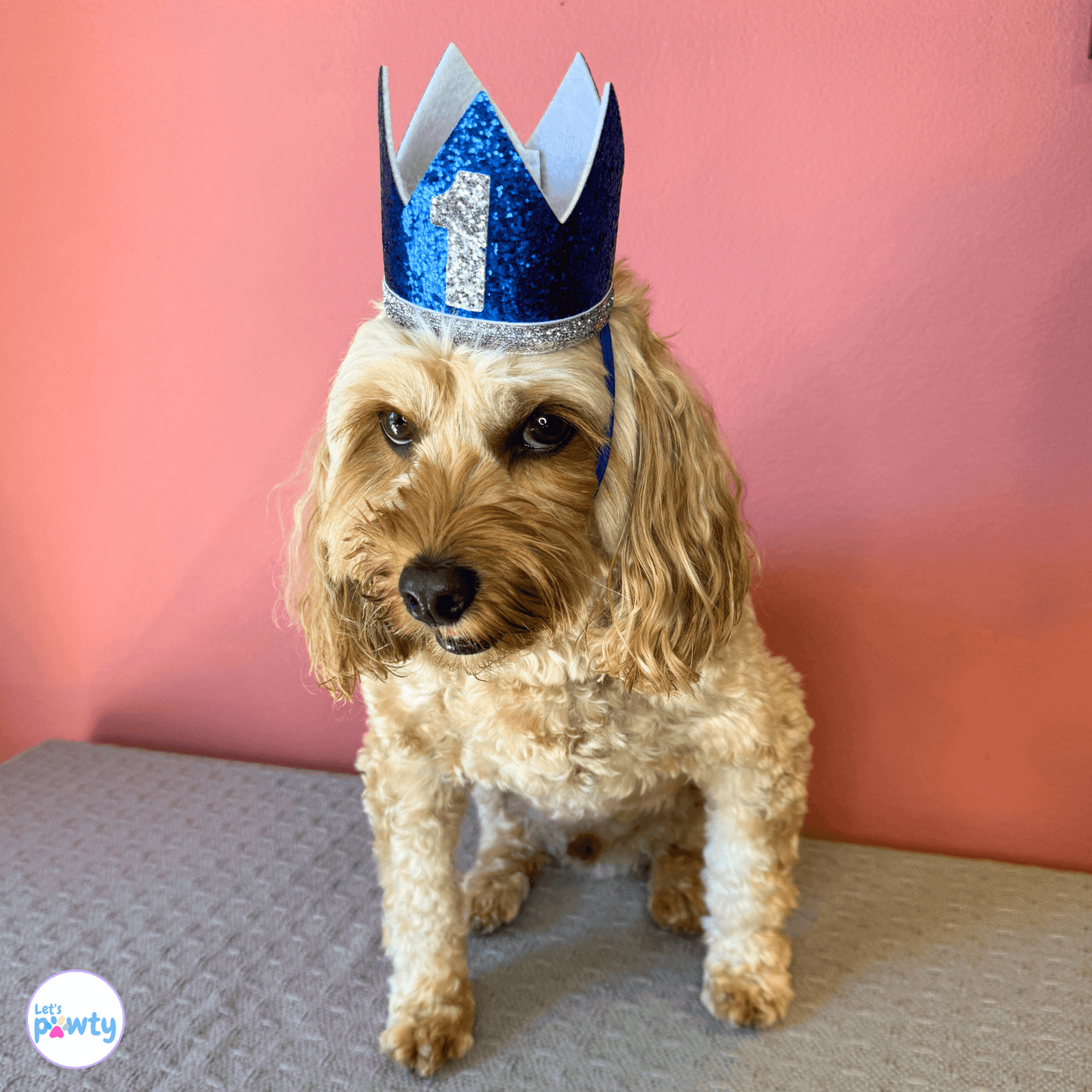 dog birthday hat glitter blue