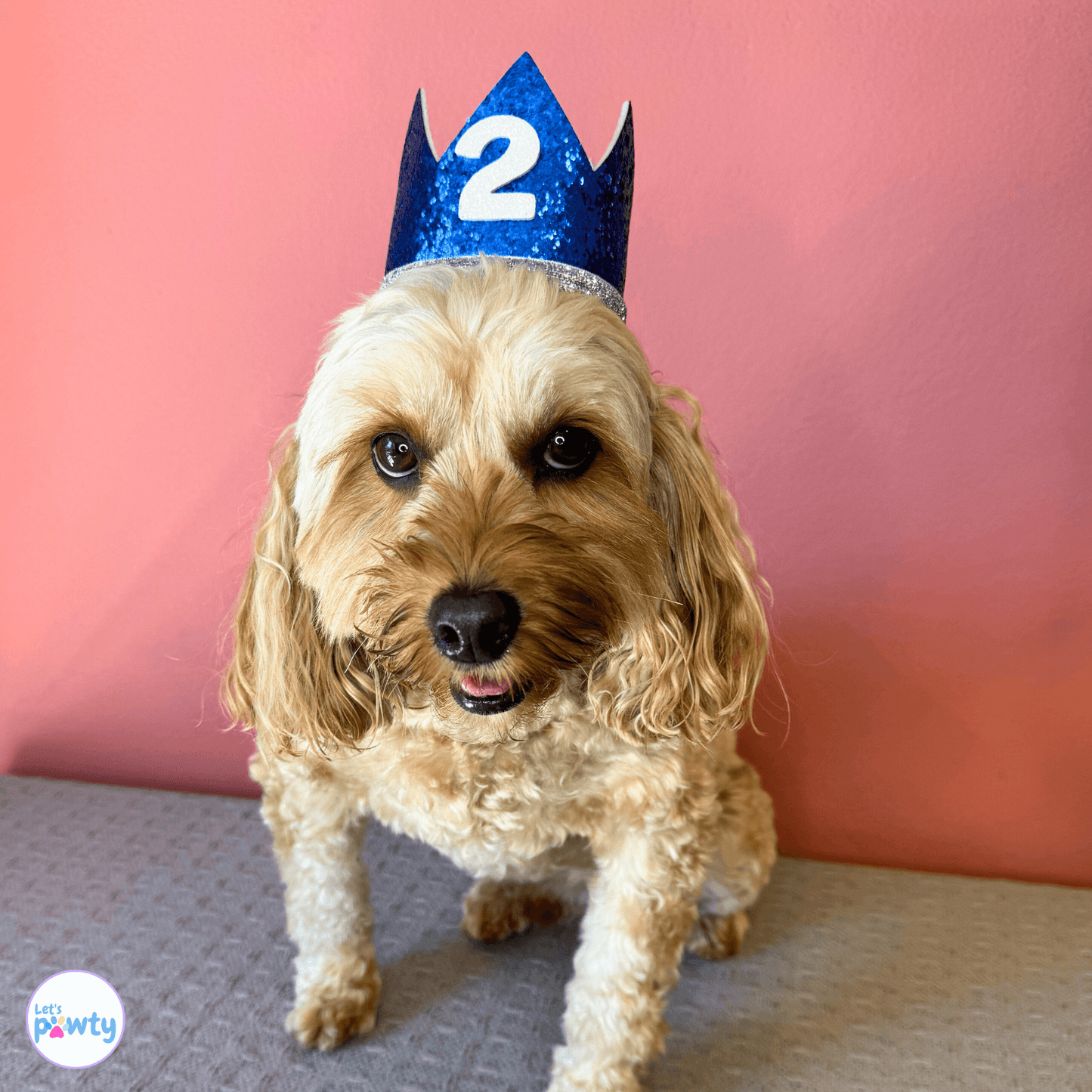 dog birthday hat glitter blue