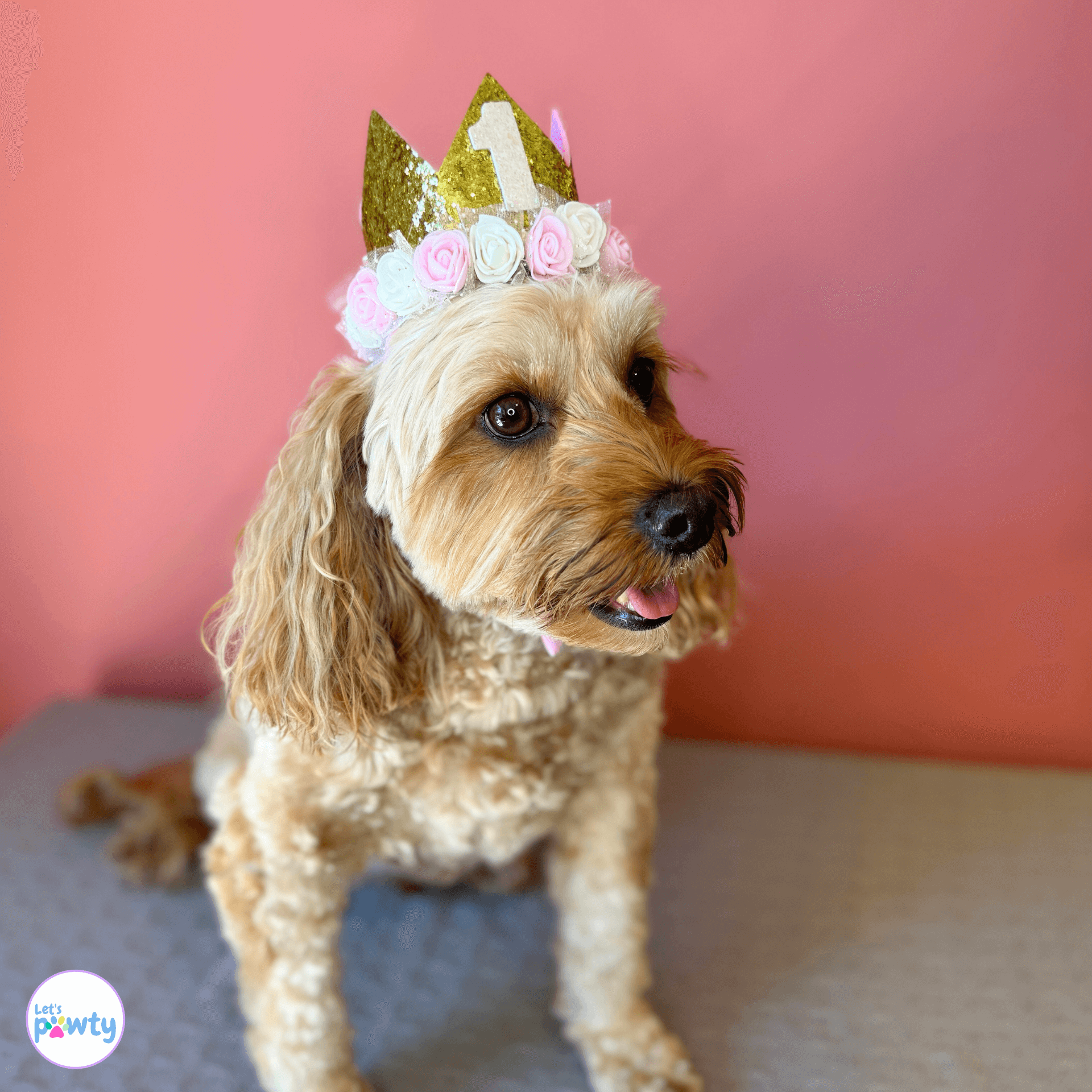 Dog birthday part hat with glitter number