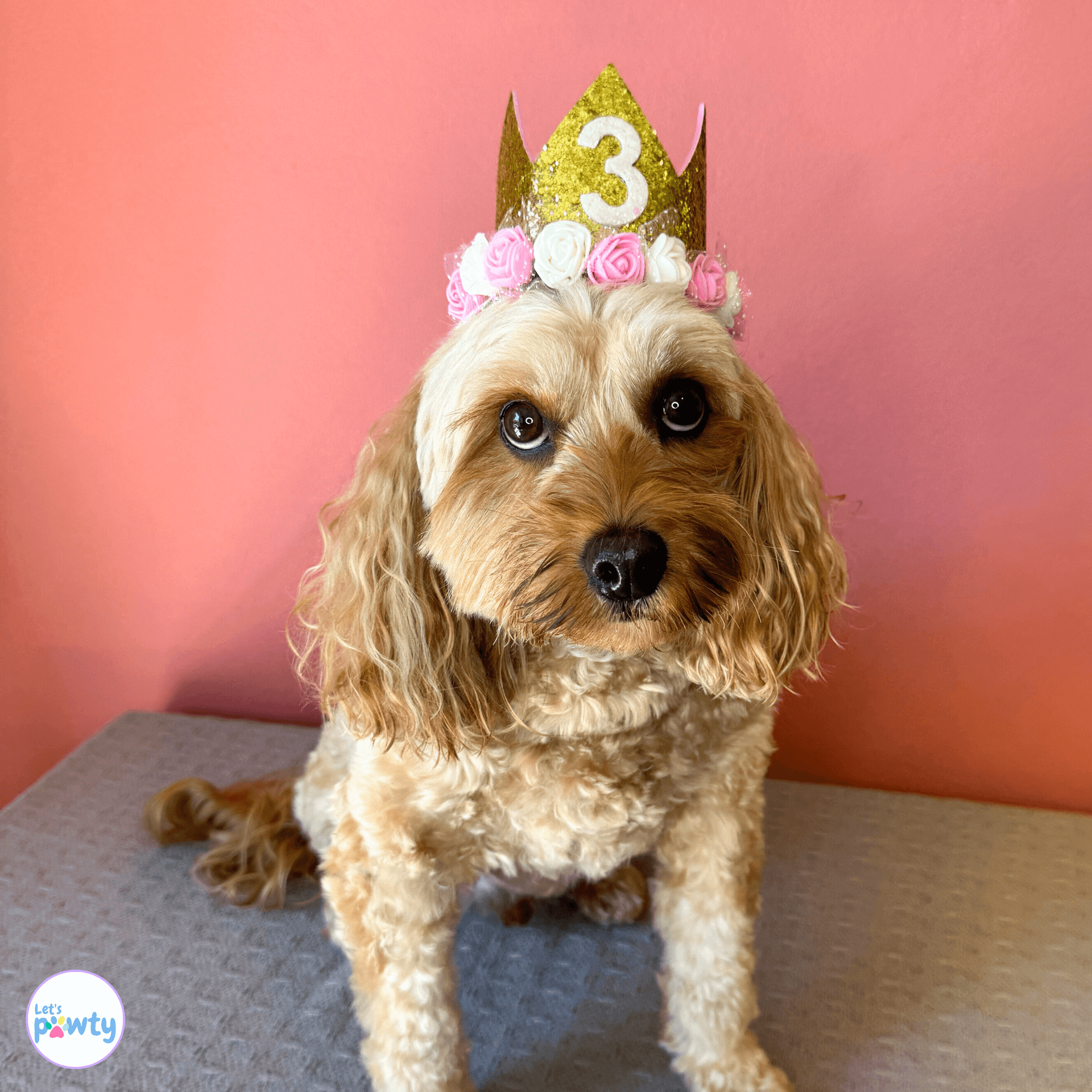 Dog birthday part hat with glitter number