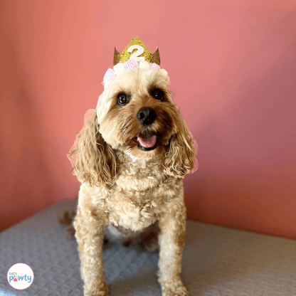 Dog birthday part hat with glitter number