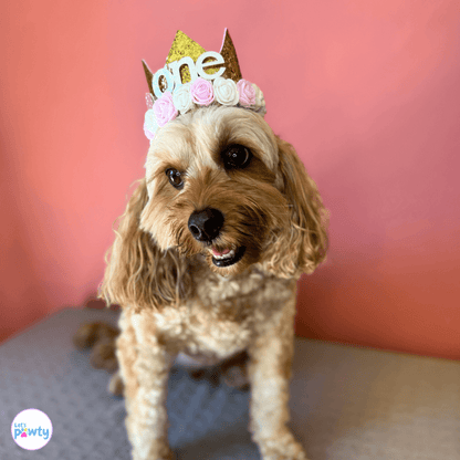 Dog birthday part hat with glitter number
