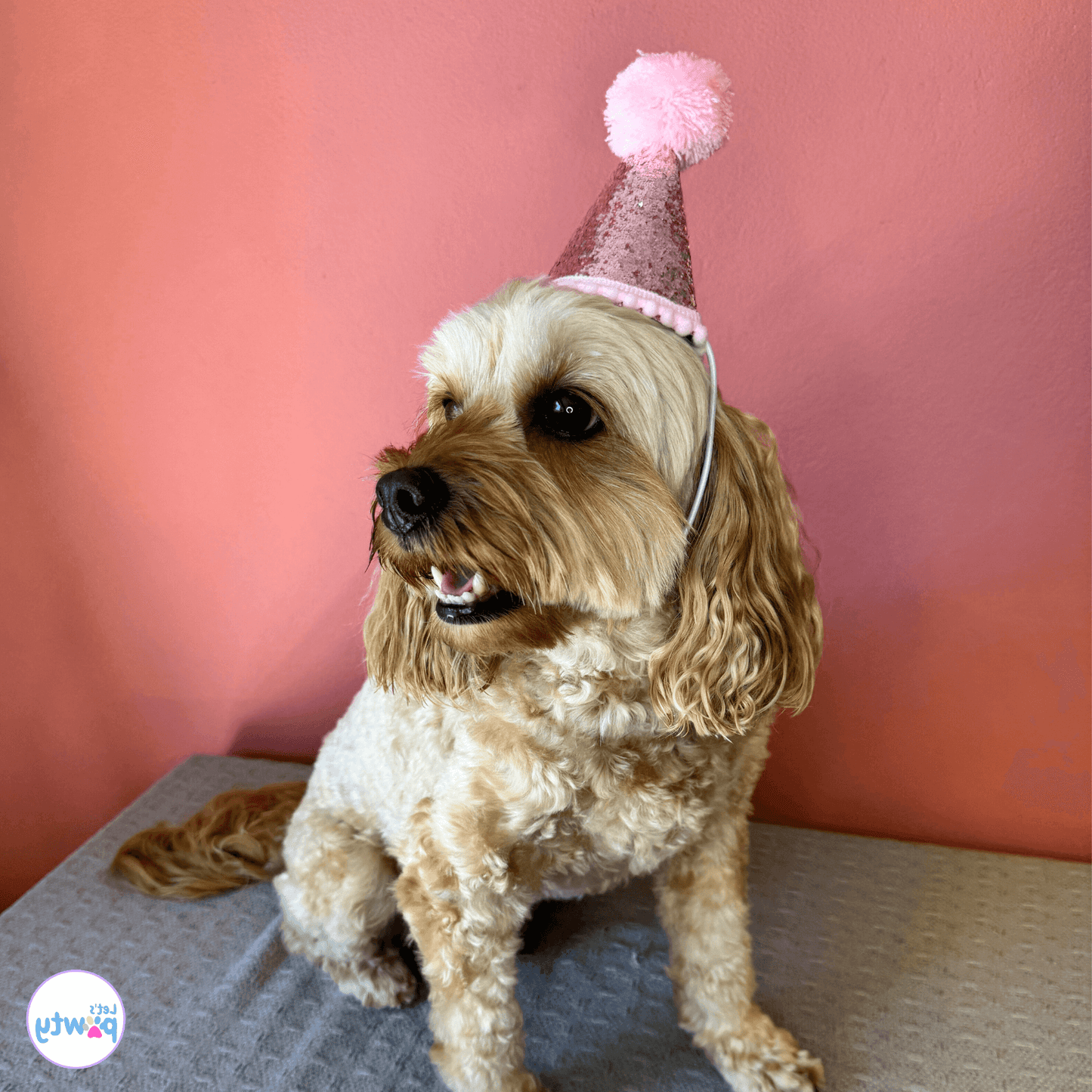 Dog party glitter hat let's pawty 