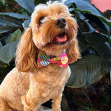 Easter dog bow tie, let's pawty