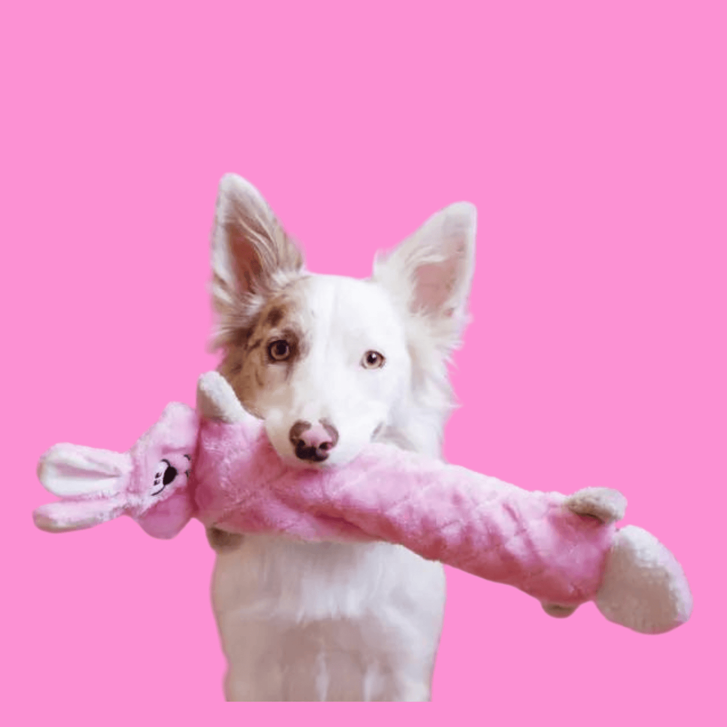 Easter bunny jiggerlz dog toy pink, ZippyPaws