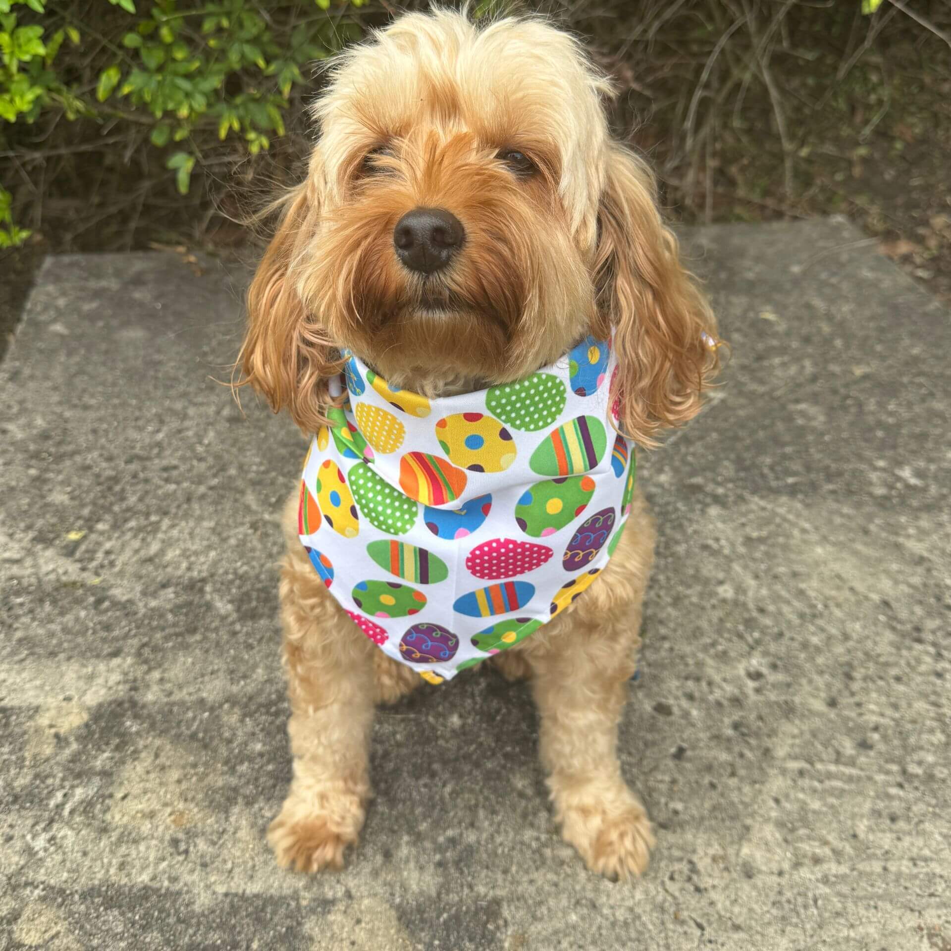 Easter egg tie up dog bandana