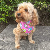 Easter themed dog bandana, let's pawty