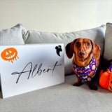 Halloween themed dog gift box, let's pawty 