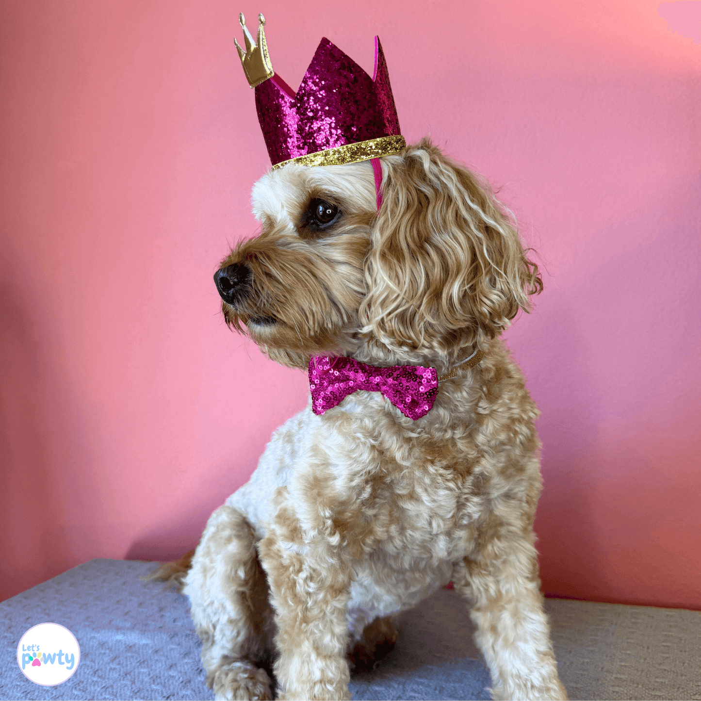og birthday hat, crown, bow tie set, let's pawty