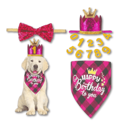 Dog birthday hat, crown, bow tie set, let's pawty 