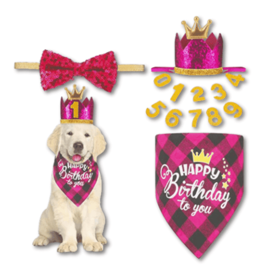 Dog birthday hat, crown, bow tie set, let's pawty 