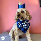 Happy birthday dog party hat ensemble let's pawty 