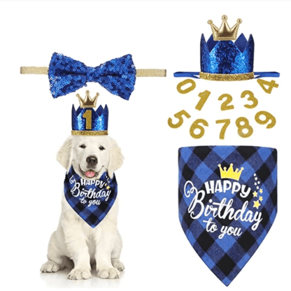 Happy birthday dog party hat ensemble let's pawty Happy birthday dog party hat ensemble let's pawty 