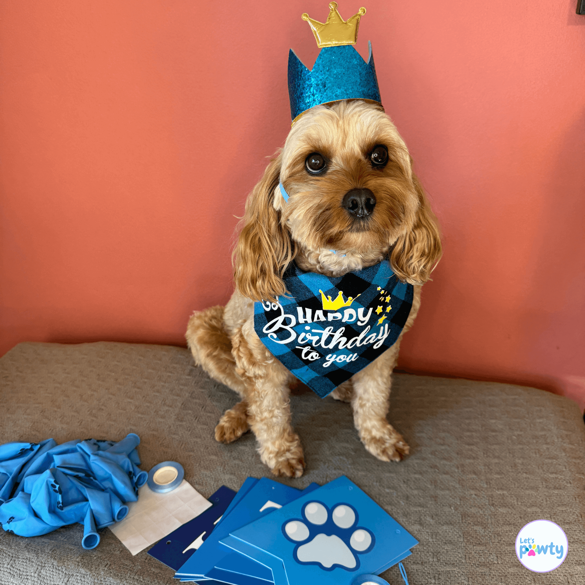 Happy birthday dog party set kit