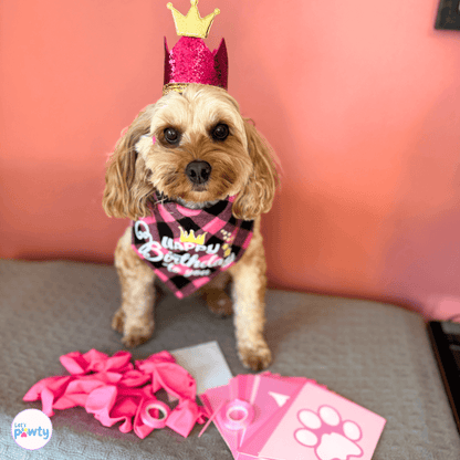 Happy birthday dog party set