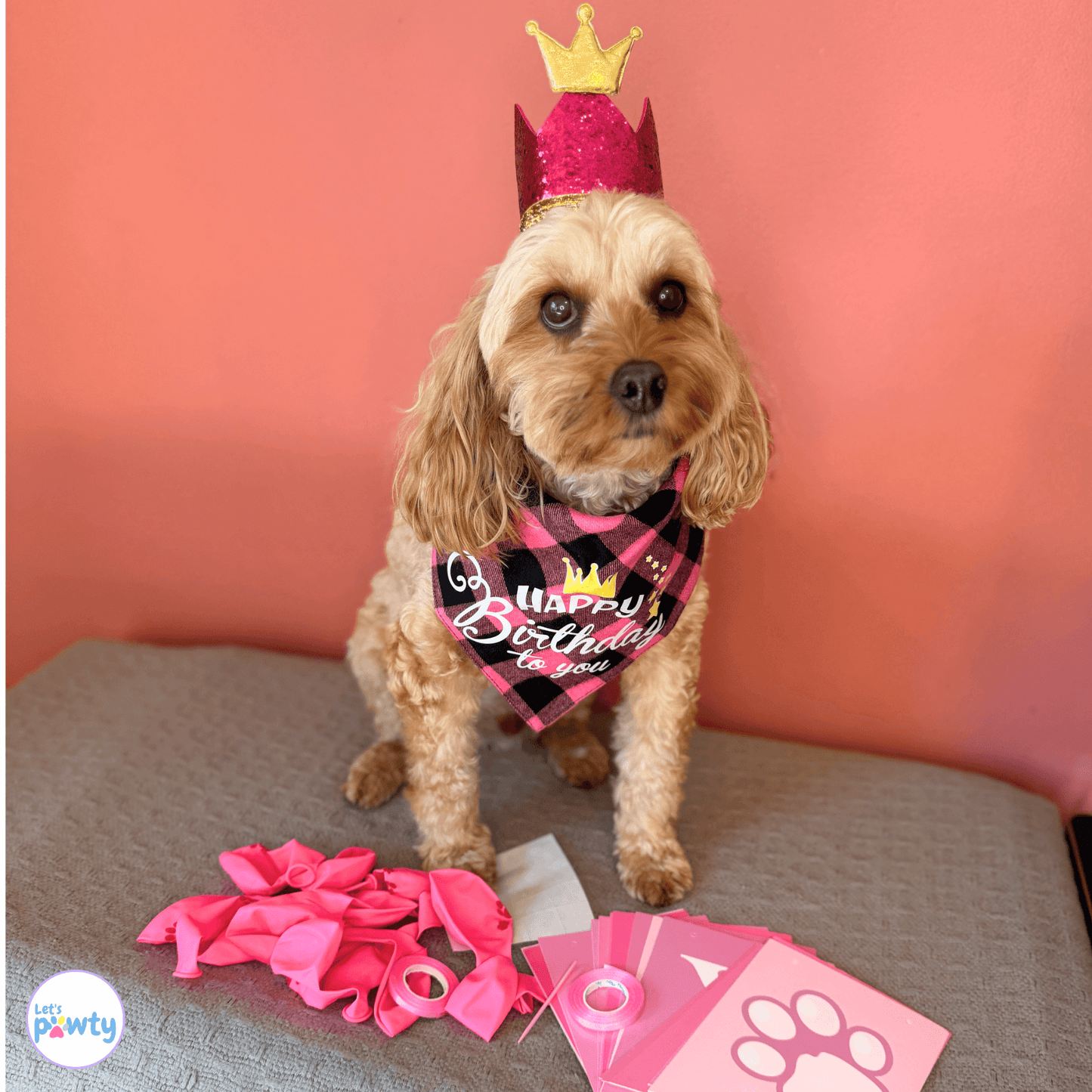 Happy birthday dog party set