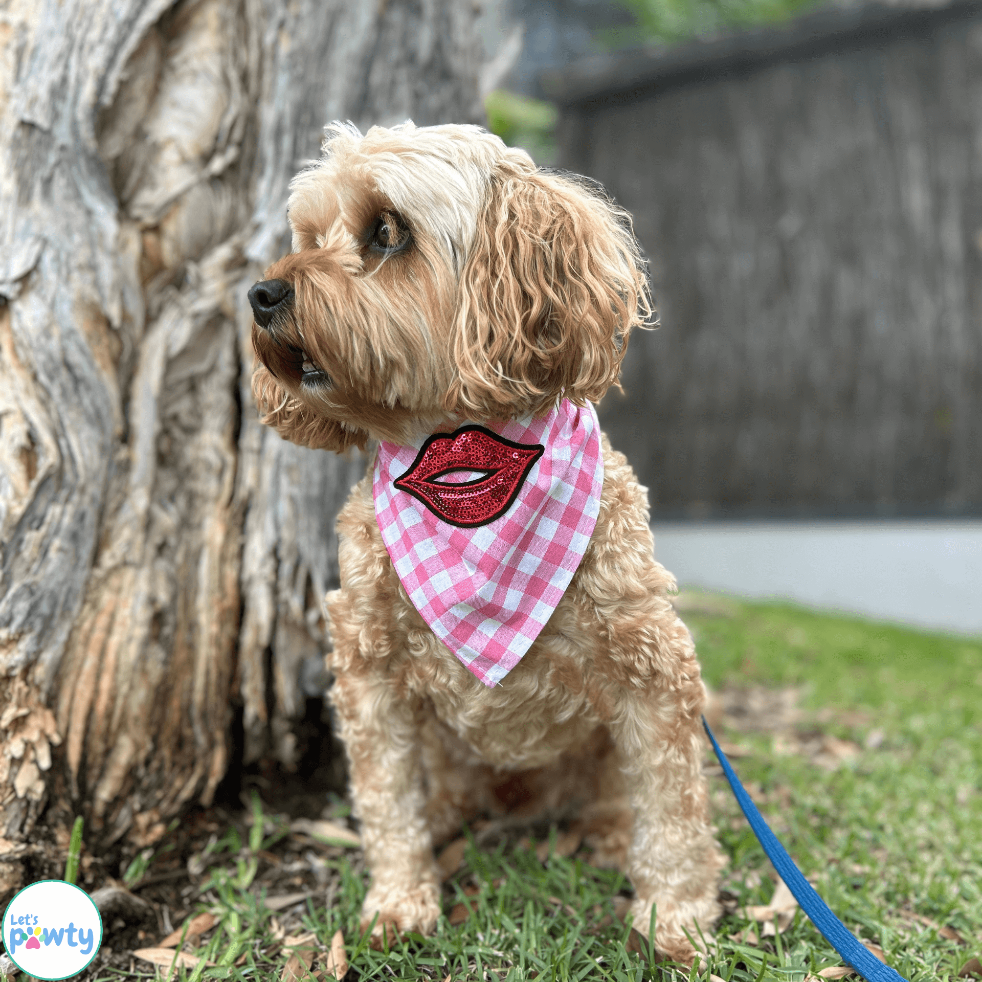 tie up dog bandana, let's pawty 