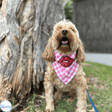 tie up dog bandana, let's pawty 