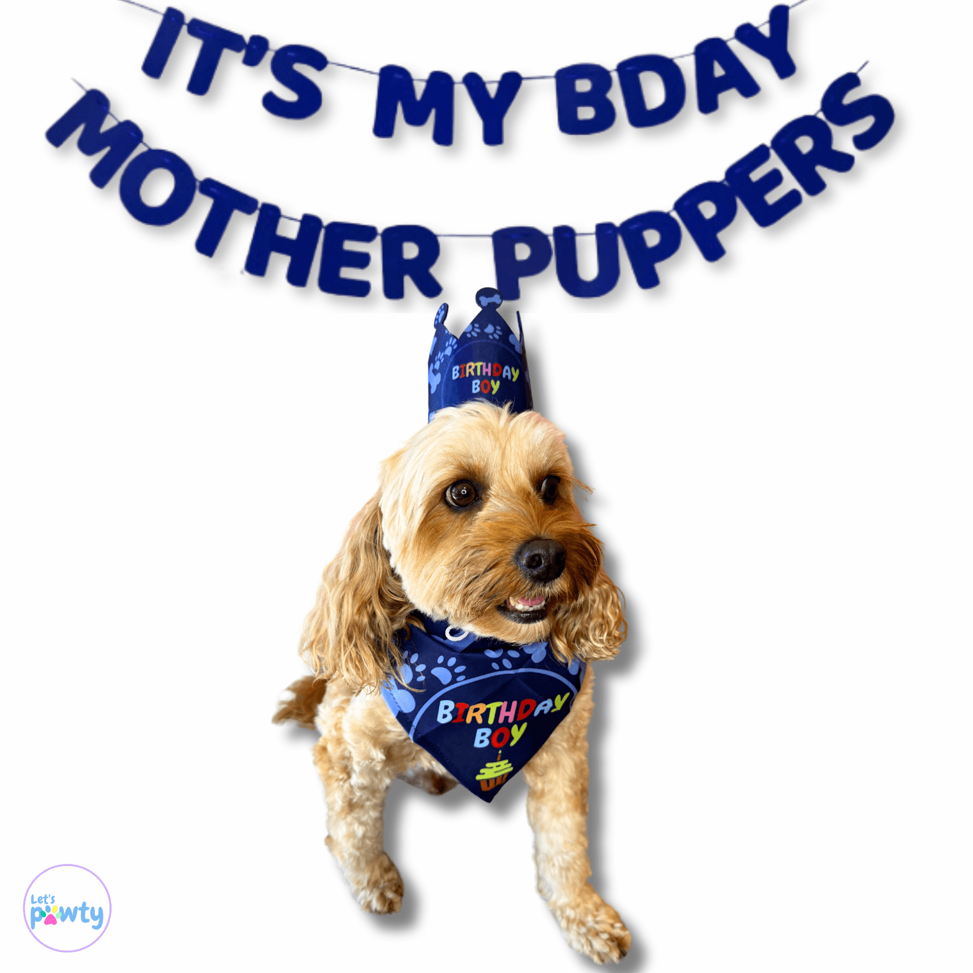 it's my birthday motherpuppers dog party banner set