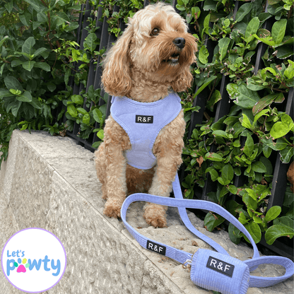 Adjustable Corduroy Dog Harness, Leash & Poop Bag Holder Set ~ Lavender